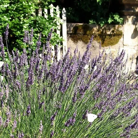 Le Prieure Casa de hóspedes