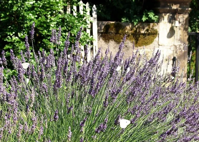 Le Prieuré Affittacamere